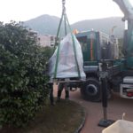 IMG-20190202-WA0006